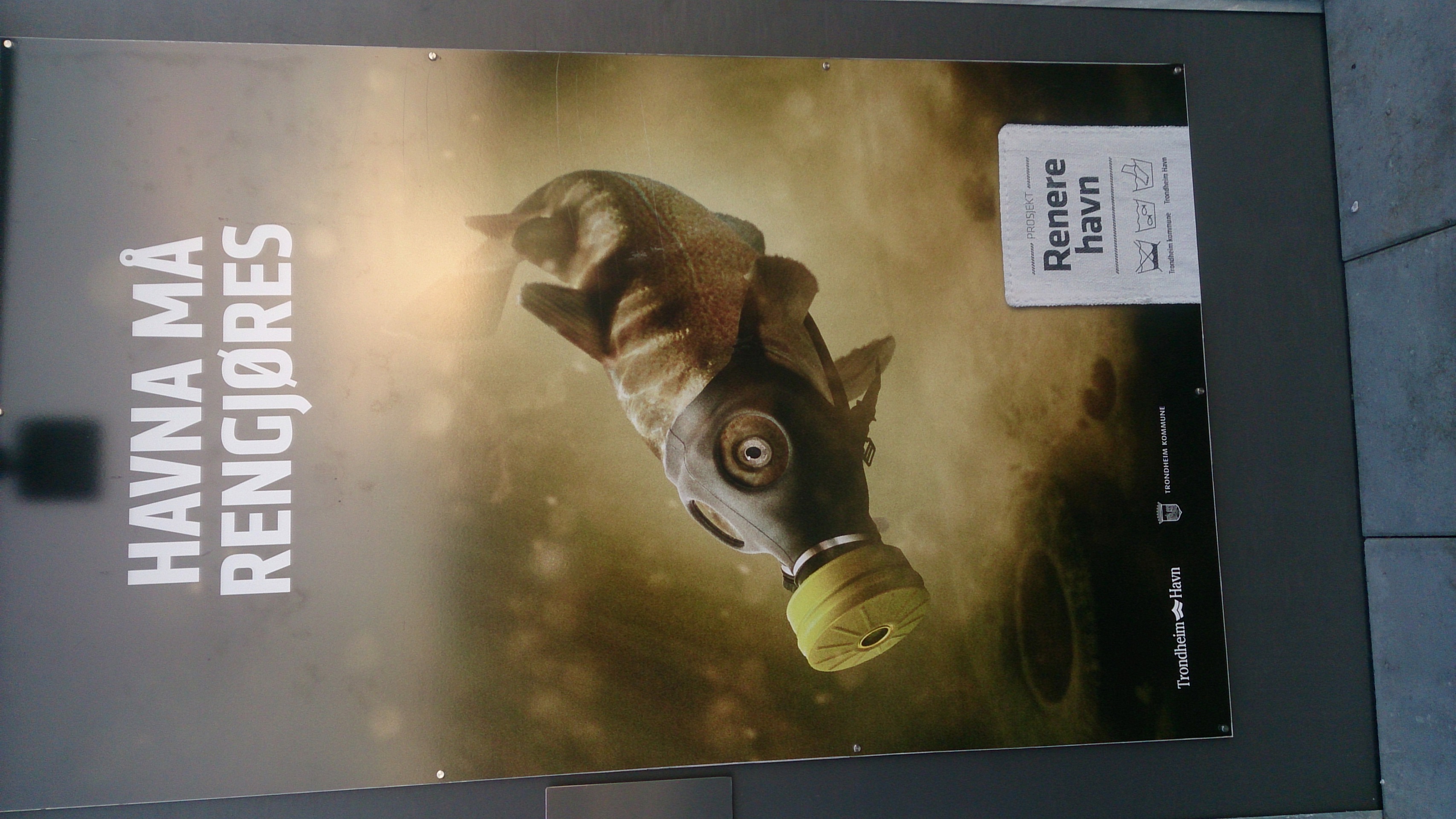 Miljøhensyn i båthavna