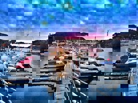 Info fra styret  januar 2022